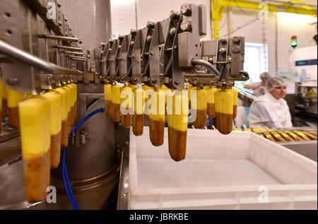 Kozichovice, République tchèque. 06 Juin, 2017. Le volume des ventes au détail de paniers-ice cream a progressé de 2 pour cent à Kc3.03bn à partir de mai 2016 jusqu'à la fin d'avril 2017 mais le montant de la vente de la crème glacée a chuté de 2,7 pour cent à 34,1 millions de litres, selon les données de Nielsen Company CTK. Dans la production de glace-cram dans Kozichovice société Tipafrost, République tchèque, le 6 juin, 2017. Credit : Lubos Pavlicek/CTK Photo/Alamy Live News Banque D'Images