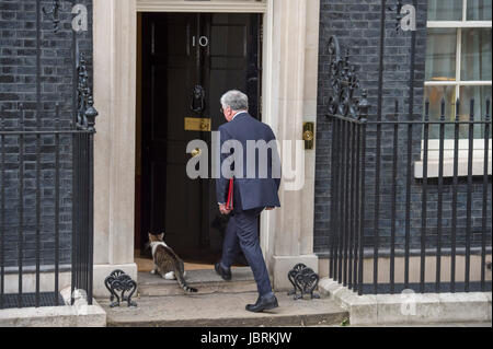 Downing Street, London, UK. 12 Juin, 2017. Sir Michael Fallon, Secrétaire d'État à la défense, entre 10 Downing Street avec Larry le chat avant la première réunion du cabinet politique du nouveau gouvernement conservateur du parlement suspendu PM Theresa peut depuis l'élection générale. En octobre 2017, Sir Michael Fallon démissionne comme secrétaire de la Défense. Credit : Malcolm Park/Alamy Live News. Banque D'Images