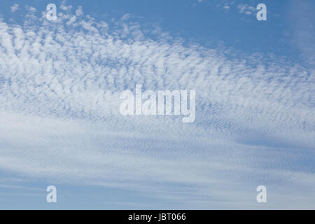 Les nuages élevés blanc en face d'un ciel bleu avec des contours flous, cette image peut être utilisée comme image de fond. Banque D'Images