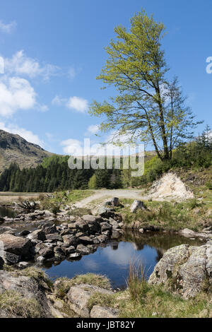Harrop Tarn près de Thirlmere Banque D'Images
