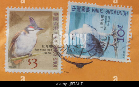 HONG KONG, CHINE - 06 juin, 2014 : Rouge Bulbul Moustac ventre blanc et l'Aigle de mer Oiseaux sur timbres chinois Banque D'Images