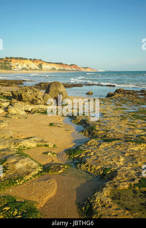 L'Europe, Portugal, Algarve, dans la côte de pierre Algarve avec la marée basse, Europa, steinige Kueste an der Algarve bei Ebbe Banque D'Images