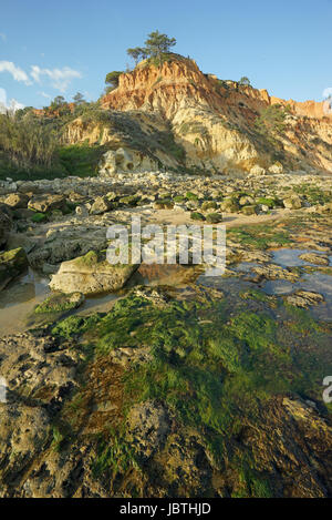 L'Europe, Portugal, Algarve, dans la côte de pierre Algarve avec la marée basse, Europa, steinige Kueste an der Algarve bei Ebbe Banque D'Images