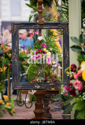 NAFAS Chelsea Flower Show 2016 Banque D'Images