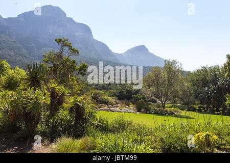 Vue paysage à l'intérieur des jardins botaniques de Kirstenbosch à Cape Town Banque D'Images