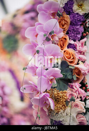 Interflora remporter l'or à RHS Chelsea Flower Show 2016 rose, violet peach Banque D'Images