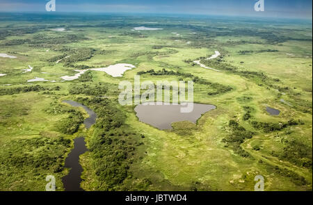 Vue aérienne de zones humides du Pantanal, Pantanal, Brésil Banque D'Images