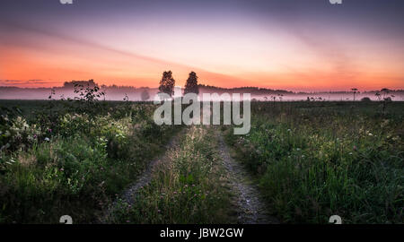 Paysage avec chemin idyllique et brouillard au soir d'été en Finlande Banque D'Images