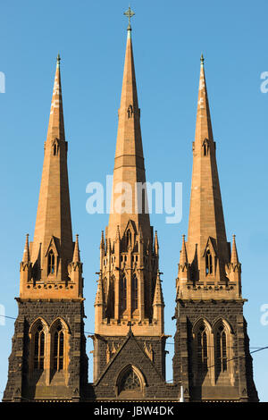 La cathédrale St Patrick, Melbourne, Victoria, Australie Banque D'Images