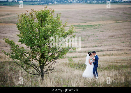 Beautiful wedding couple debout au milieu de la prairie à côté de l'arbre et regarder les yeux de chacun. Banque D'Images