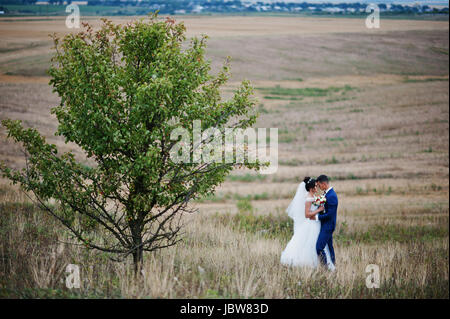 Beautiful wedding couple debout au milieu de la prairie à côté de l'arbre et regarder les yeux de chacun. Banque D'Images