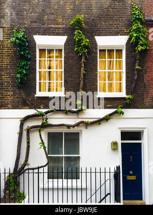 L'avant-corps avec vignes entre windows à Londres Banque D'Images