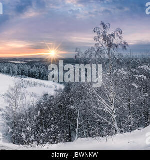 Paysage panoramique avec lumière du matin à l'hiver en forêt Banque D'Images