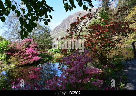 Jardin forestier Banque D'Images