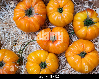 Boeuf jaune tomates sur un marché de producteurs Banque D'Images