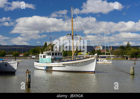 Bateaux de pêche sur la Rivière Tamar à Launceston en Tasmanie, Australie Banque D'Images