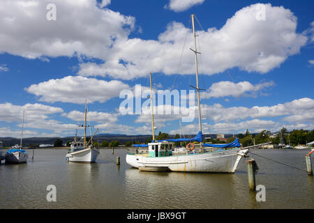 Bateaux de pêche sur la Rivière Tamar à Launceston en Tasmanie, Australie Banque D'Images