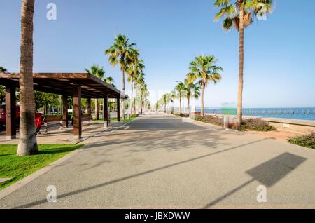 Une vue de Molos, Promenade sur la côte de Limassol à Chypre. Une vue de la promenade chemin entouré de palmiers, d'une pergola, d'herbe et la mer Méditerranée. Banque D'Images