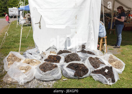 BOUCKVILLE, NY, USA - 10 juin 2017 : Sacs d'nwool à vendre à l'assemblée annuelle du Festival Fibre Central New York. Banque D'Images