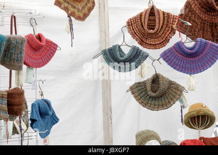 BOUCKVILLE, NY, USA - 10 juin 2017 : l'Alpaga à vendre itinérants au Festival annuel de fibre Central New York. Banque D'Images