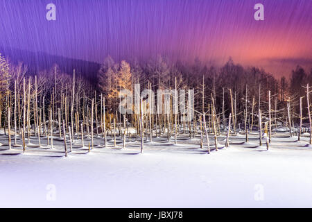 Biei, du Japon à l'Étang Bleu Aoike en hiver. Banque D'Images