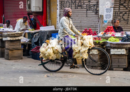 Le poulet sont liés ensemble et transportés en vélo dans le quartier nouveau marché Banque D'Images