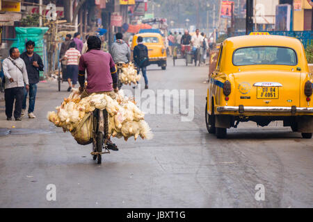 Le poulet sont liés ensemble et transportés en vélo dans le quartier nouveau marché Banque D'Images