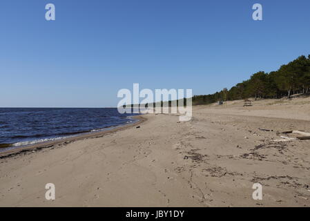 Plage de Lettonie,Panorama du golfe de Riga au printemps Banque D'Images