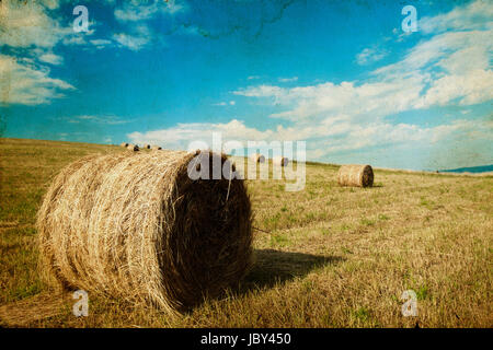 Vintage photo de hay-roll sur champ après la récolte Banque D'Images