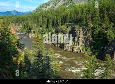 Le haut débit d'écoulement du printemps la rivière Clark Fork à Alberton, à proximité alberton, Montana Banque D'Images