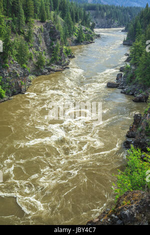 Le haut débit d'écoulement du printemps la rivière Clark Fork à Alberton, à proximité alberton, Montana Banque D'Images