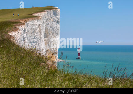 Une vue de la craie Beachy Head pointe dans l'East Sussex, Royaume-Uni. Banque D'Images