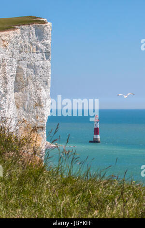 Une vue de la craie Beachy Head pointe dans l'East Sussex, Royaume-Uni. Banque D'Images