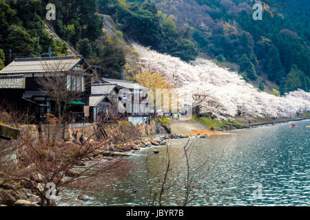La Préfecture de Shiga, Japon - 14 Avril 2013 : Situé dans la préfecture de Shiga Makino Takashima-cho Kaizu, zone récifale qui dépasse dans le lac Biwa Kaizu Osaki (Kaizu Osaki). L'un des huit lac Biwa Banque D'Images