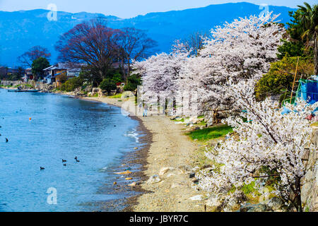 La Préfecture de Shiga, Japon - 14 Avril 2013 : Situé dans la préfecture de Shiga Makino Takashima-cho Kaizu, zone récifale qui dépasse dans le lac Biwa Kaizu Osaki (Kaizu Osaki). L'un des huit lac Biwa Banque D'Images