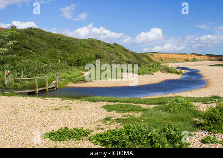 La remote shell beach en poudre et pied en bois pont sur le Solent, Southampton Water à la fin de l'hameçon Lane allée cavalière près de Co Titchfield Banque D'Images