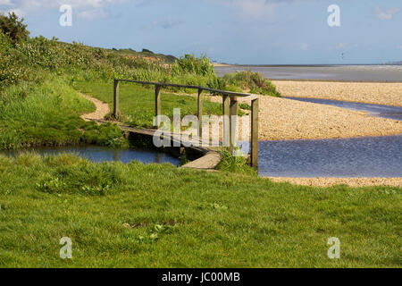 La remote shell beach en poudre et pied en bois pont sur le Solent, Southampton Water à la fin de l'hameçon Lane allée cavalière près de Co Titchfield Banque D'Images