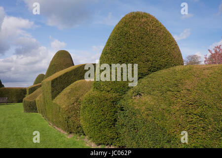 Château de Chirk en topiaires jardins en Pays de Galles Banque D'Images
