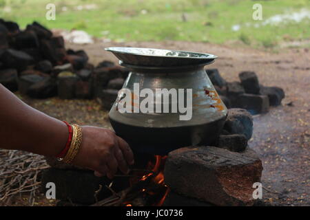 PONGAL,TRADITION Banque D'Images