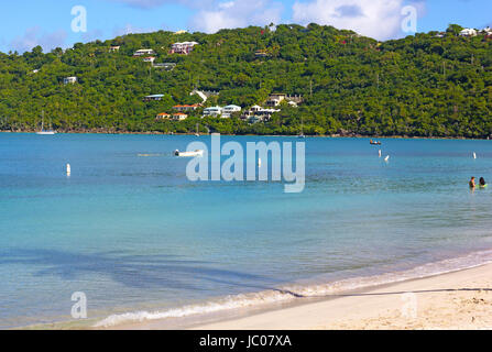 Matin calme à Magens Bay sur l'île de St Thomas, US VI. L'ombre de palmiers sur les eaux de la mer des Caraïbes et la vue sur la pittoresque maisons de vacances. Banque D'Images