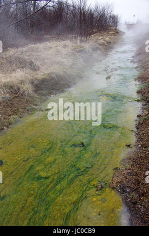 Flux d'eau chaude vert près de Geysir en Islande Banque D'Images