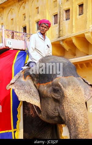 Décoré à l'intérieur de l'éléphant Mahout équitation Jaleb Chowk (cour d'honneur) de l'Amber Fort, Rajasthan, Inde. Des promenades en éléphant sont attraction touristique populaire dans Banque D'Images