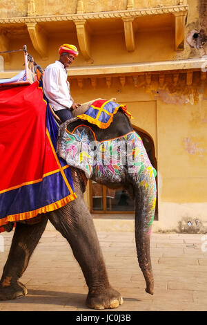 Décoré à l'intérieur de l'éléphant Mahout équitation Jaleb Chowk (cour d'honneur) de l'Amber Fort, Rajasthan, Inde. Des promenades en éléphant sont attraction touristique populaire dans Banque D'Images