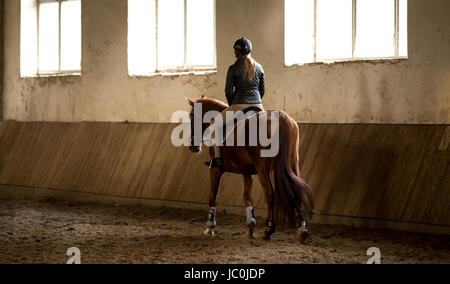 Photo de l'arrière de l'équitation de manège Banque D'Images