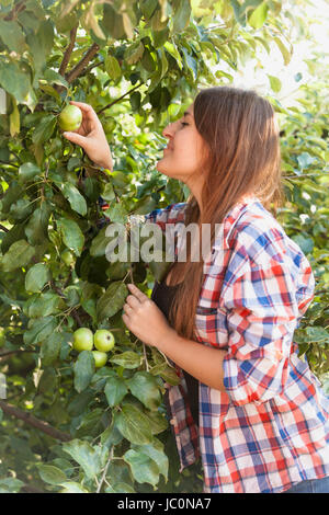 Closeup portrait of Beautiful Woman picking green apple d'arbre Banque D'Images