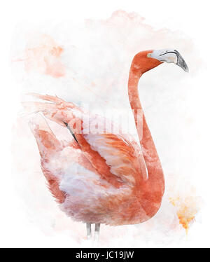 Aquarelle peinture digitale de Flamingo Bird Banque D'Images