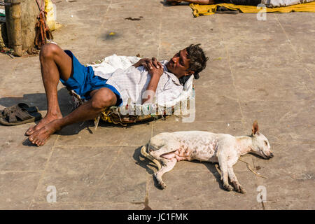 Marché aux fleurs d'un travailleur est de dormir sur le plancher dans son panier, un chien dormir à côté de lui Banque D'Images