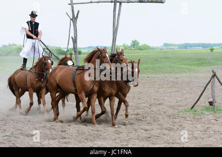 Horse Show sur Bugac Puszta,dans le parc national de Kiskunsag. Hongrie Banque D'Images