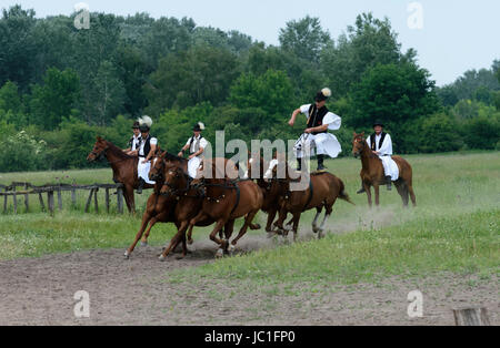 Horse Show sur Bugac Puszta,dans le parc national de Kiskunsag. Hongrie Banque D'Images