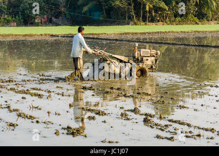 Un agriculteur travaille sur un champ de riz avec un cultivateur rotatif dans le cadre rural de la banlieue ville nouvelle Banque D'Images